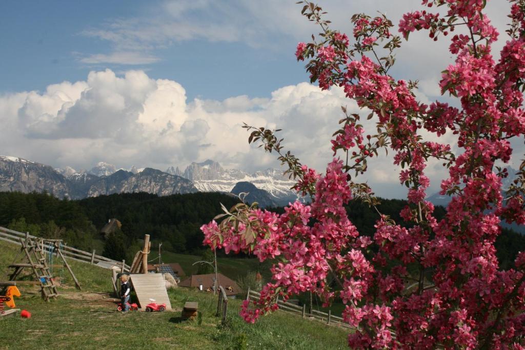 Hotel Am Hang Soprabolzano Kültér fotó